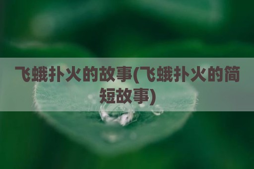 飞蛾扑火的故事(飞蛾扑火的简短故事)