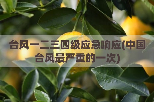 台风一二三四级应急响应(中国台风最严重的一次)