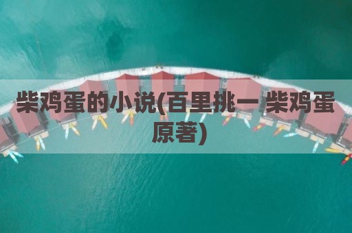 柴鸡蛋的小说(百里挑一 柴鸡蛋 原著)