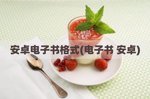 安卓电子书格式(电子书 安卓)