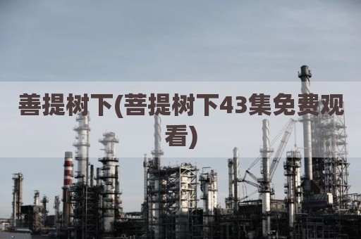 善提树下(菩提树下43集免费观看)