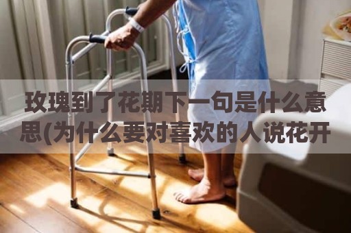 玫瑰到了花期下一句是什么意思(为什么要对喜欢的人说花开了)