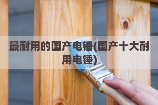 最耐用的国产电锤(国产十大耐用电锤)
