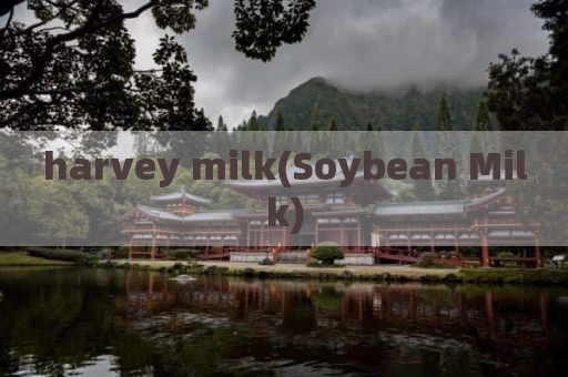 harvey milk(Soybean Milk)