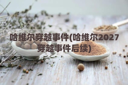 哈维尔穿越事件(哈维尔2027穿越事件后续)