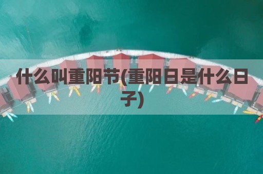 什么叫重阳节(重阳日是什么日子)