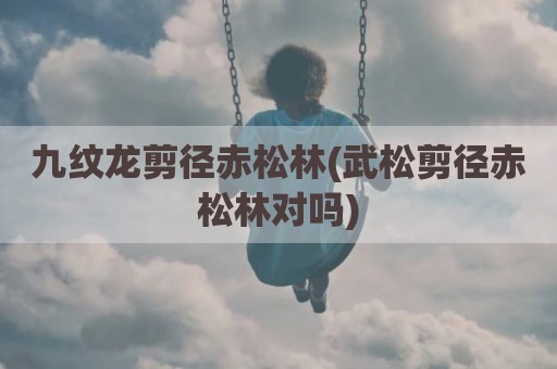 九纹龙剪径赤松林(武松剪径赤松林对吗)