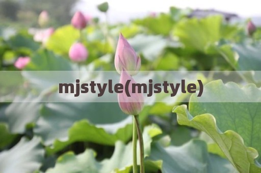 mjstyle(mjstyle)