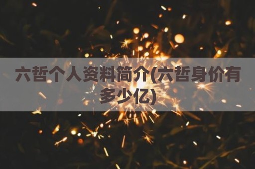 六哲个人资料简介(六哲身价有多少亿)