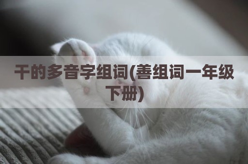 干的多音字组词(善组词一年级下册)