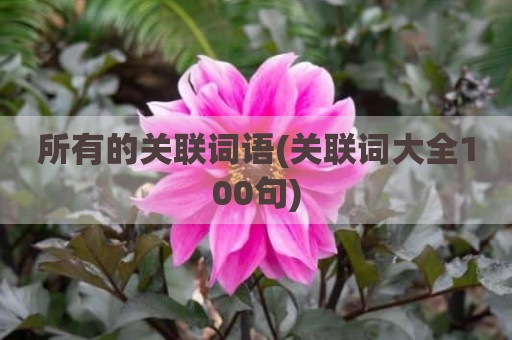 所有的关联词语(关联词大全100句)
