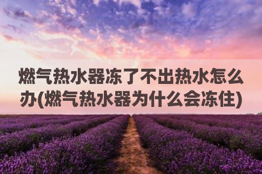 燃气热水器冻了不出热水怎么办(燃气热水器为什么会冻住)