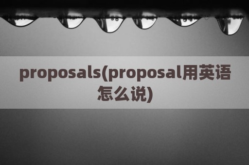 proposals(proposal用英语怎么说)