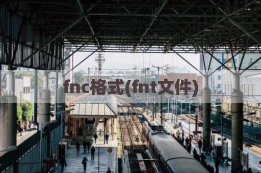 fnc格式(fnt文件)
