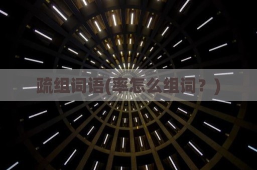 疏组词语(率怎么组词？)