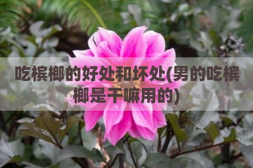 吃槟榔的好处和坏处(男的吃槟榔是干嘛用的)