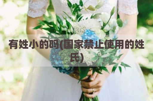 有姓小的吗(国家禁止使用的姓氏)