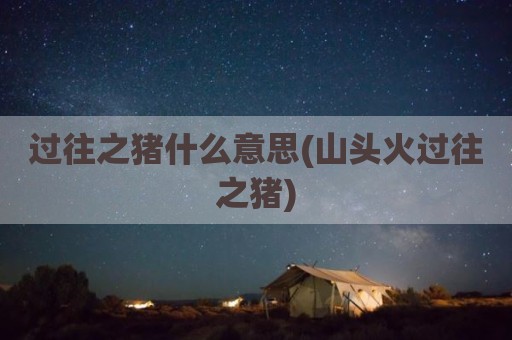 过往之猪什么意思(山头火过往之猪)