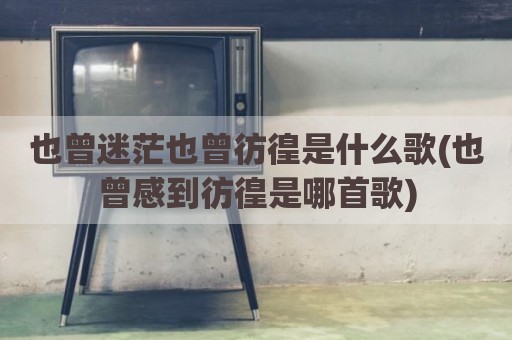 也曾迷茫也曾彷徨是什么歌(也曾感到彷徨是哪首歌)