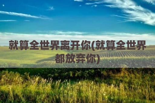 就算全世界离开你(就算全世界都放弃你)