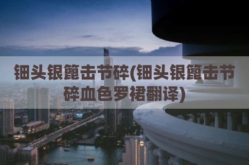 钿头银篦击节碎(钿头银篦击节碎血色罗裙翻译)
