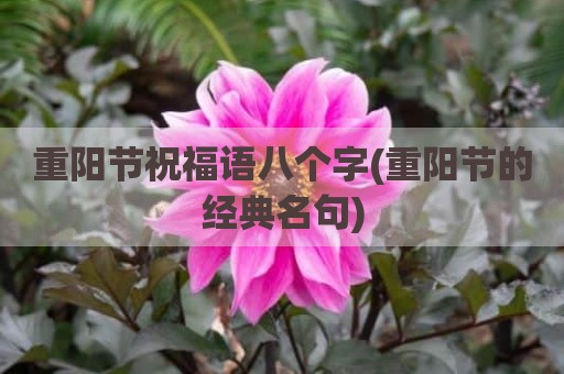 重阳节祝福语八个字(重阳节的经典名句)