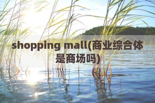 shopping mall(商业综合体是商场吗)
