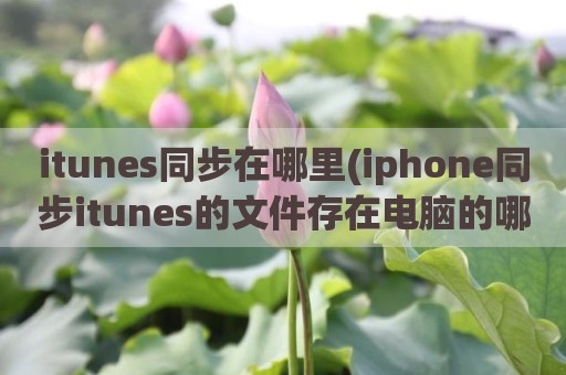 itunes同步在哪里(iphone同步itunes的文件存在电脑的哪里)