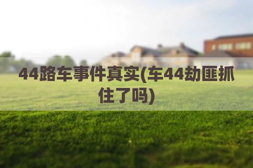 44路车事件真实(车44劫匪抓住了吗)