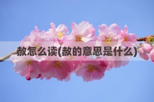 赦怎么读(赦的意思是什么)