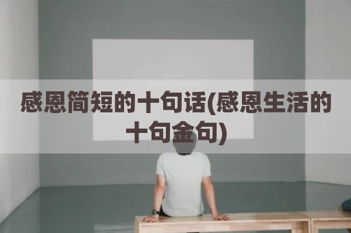 感恩简短的十句话(感恩生活的十句金句)