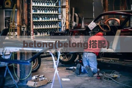 belong(belong搭配)