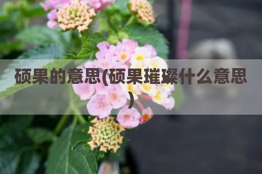 硕果的意思(硕果璀璨什么意思)