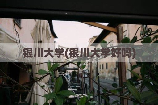 银川大学(银川大学好吗)