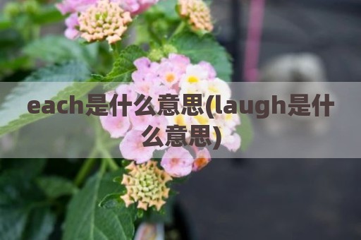each是什么意思(laugh是什么意思)
