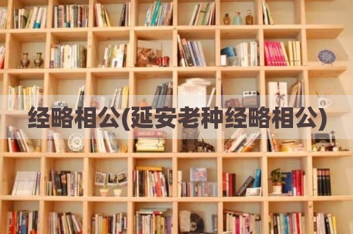 经略相公(延安老种经略相公)