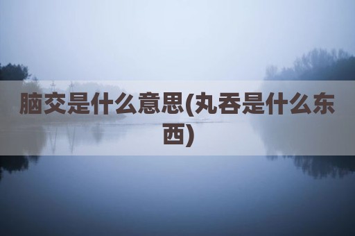 脑交是什么意思(丸吞是什么东西)