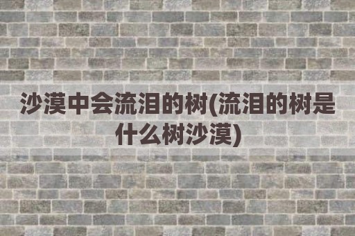 沙漠中会流泪的树(流泪的树是什么树沙漠)