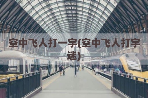 空中飞人打一字(空中飞人打字迷)
