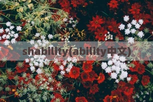 shability(ability中文)