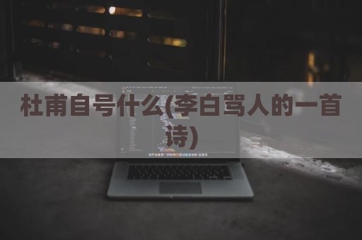 杜甫自号什么(李白骂人的一首诗)