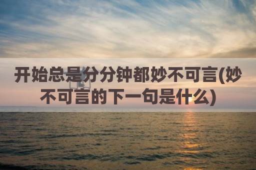 开始总是分分钟都妙不可言(妙不可言的下一句是什么)