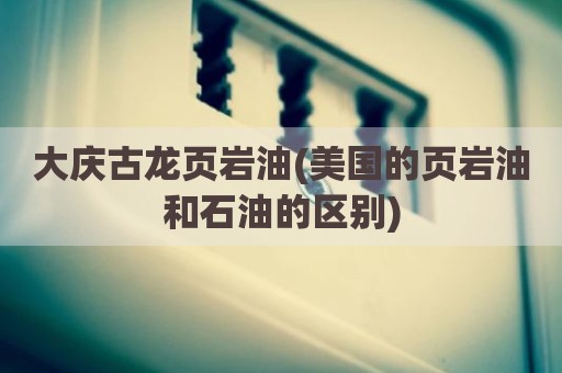大庆古龙页岩油(美国的页岩油和石油的区别)