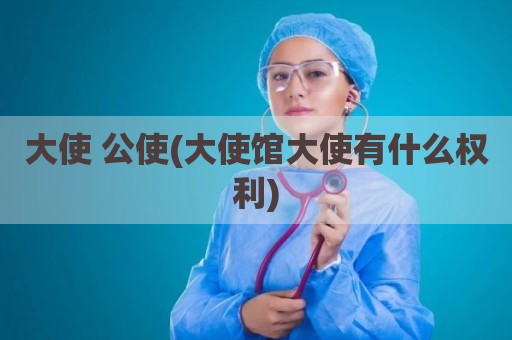 大使 公使(大使馆大使有什么权利)
