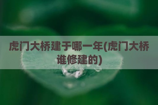 虎门大桥建于哪一年(虎门大桥谁修建的)