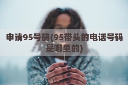 申请95号码(95带头的电话号码是哪里的)