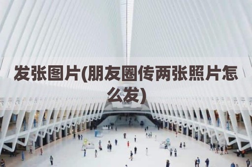 发张图片(朋友圈传两张照片怎么发)