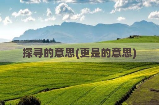 探寻的意思(更是的意思)