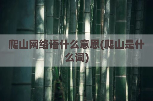 爬山网络语什么意思(爬山是什么词)