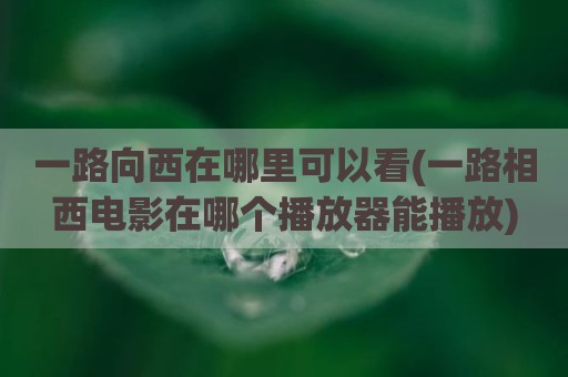 一路向西在哪里可以看(一路相西电影在哪个播放器能播放)